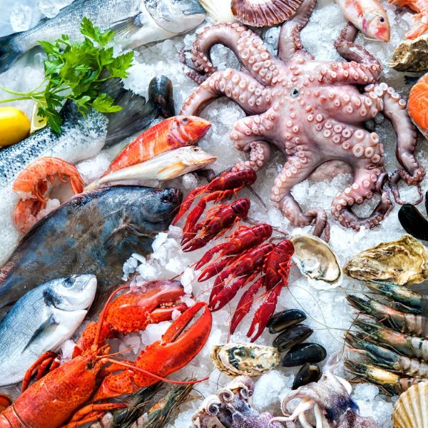 Seafood & Fishing (1)