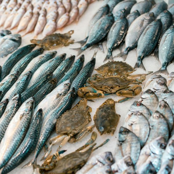seafood (1)